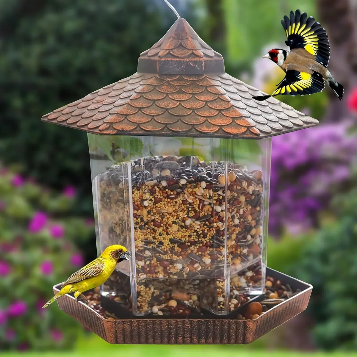 Hanging Bird Feeder | Weatherproof Roof & Transparent Body | 1.18 kg Capacity