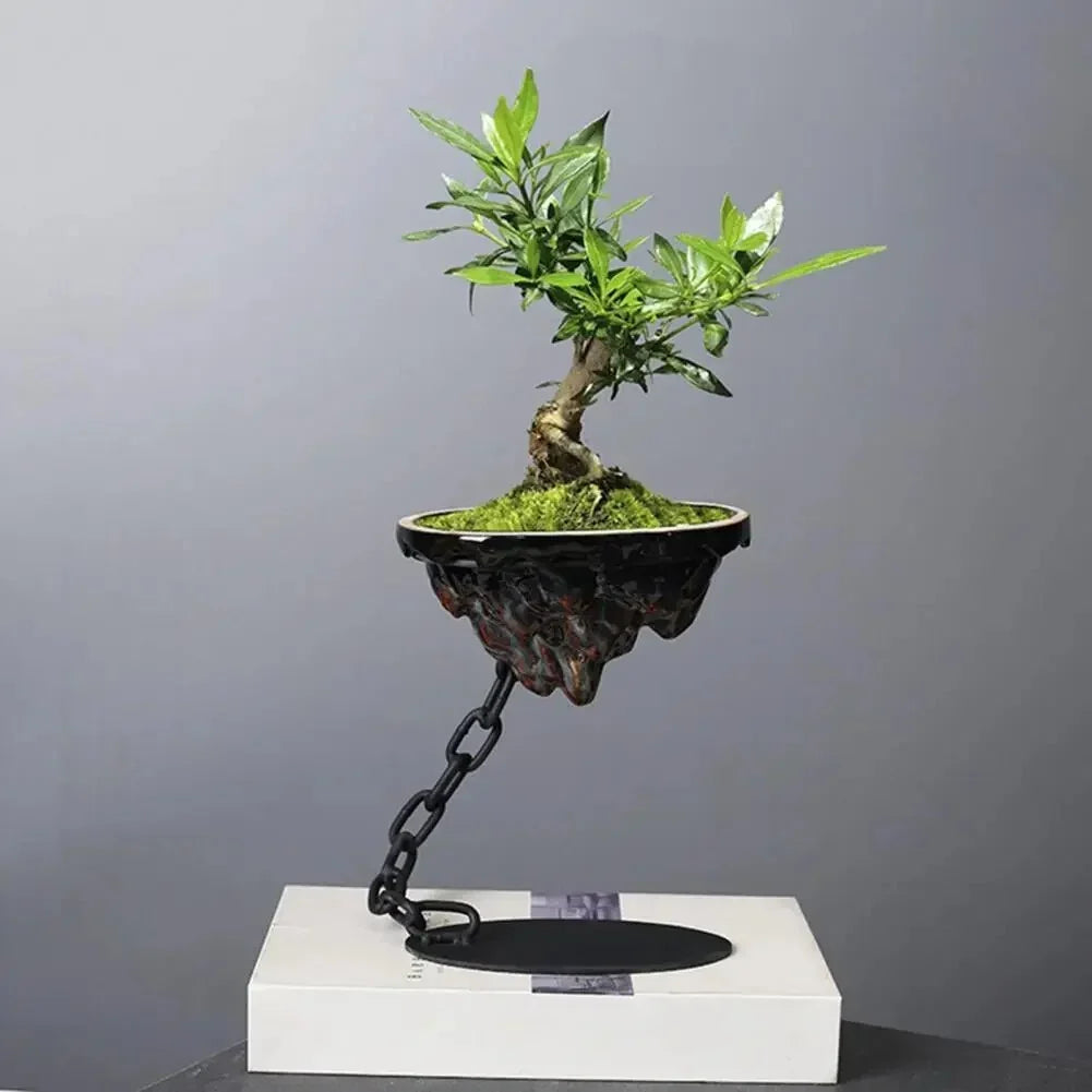 Hanging Planter | Chain Suspension & Drainage