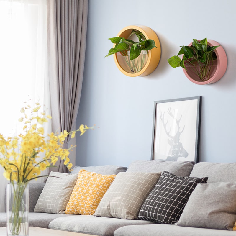 Hanging Wall Planter with Clear Acrylic Front Panel for Succulents Modern Indoor Vertical Plant
