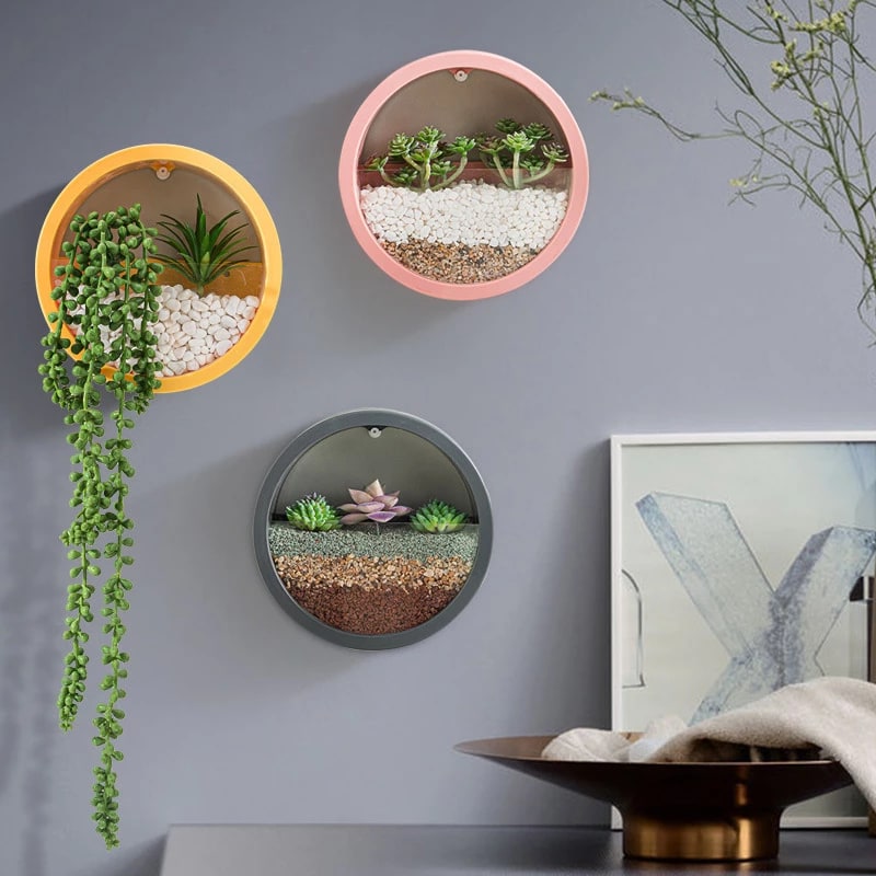 Hanging Wall Planter with Clear Acrylic Front Panel for Succulents Modern Indoor Vertical Plant