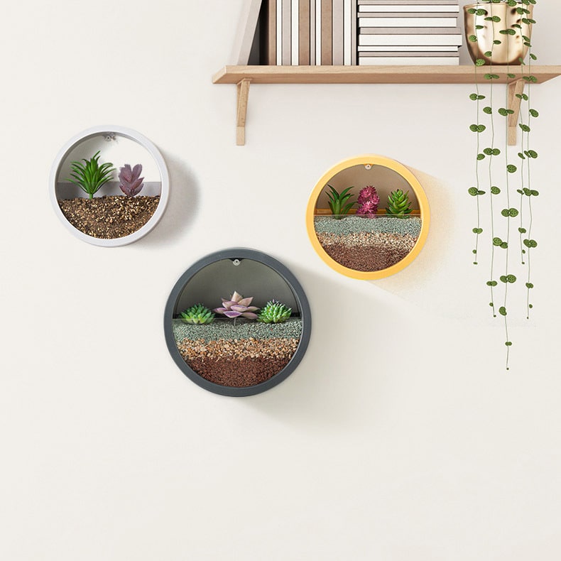 Hanging Wall Planter with Clear Acrylic Front Panel for Succulents Modern Indoor Vertical Plant
