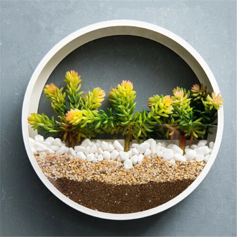 Hanging Wall Planter with Clear Acrylic Front Panel for Succulents Modern Indoor Vertical Plant