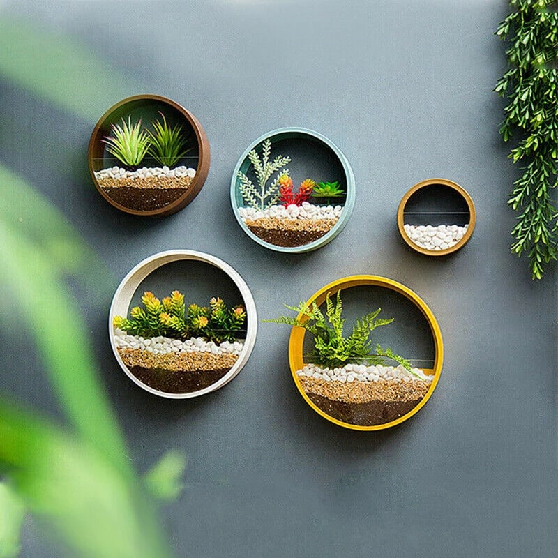 Hanging Wall Planter with Clear Acrylic Front Panel for Succulents Modern Indoor Vertical Plant