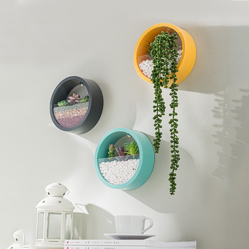 Hanging Wall Planter with Clear Acrylic Front Panel for Succulents Modern Indoor Vertical Plant