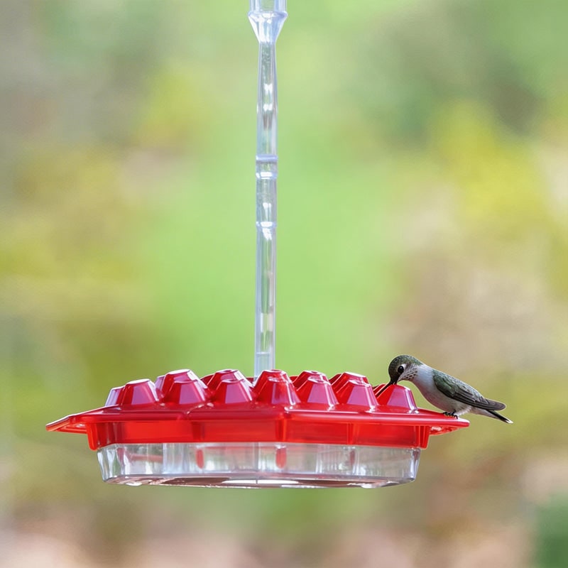 Hummingbird Feeder with Hexagonal Ports and Homemade Nectar Dish
