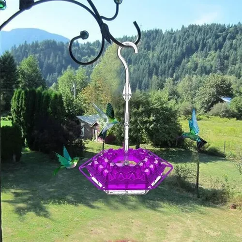 Hummingbird Feeder with Hexagonal Ports and Homemade Nectar Dish
