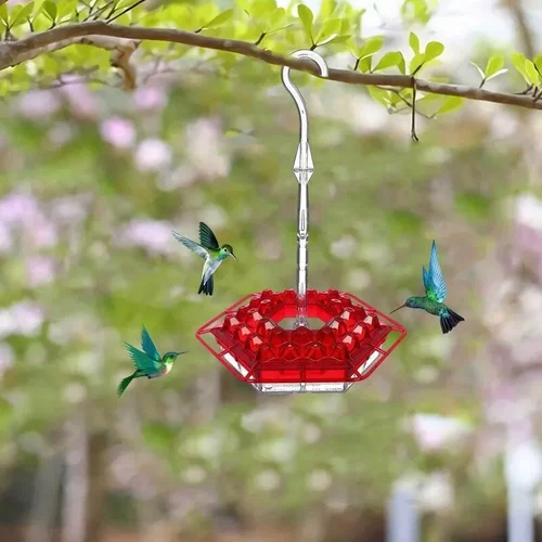 Hummingbird Feeder with Hexagonal Ports and Homemade Nectar Dish