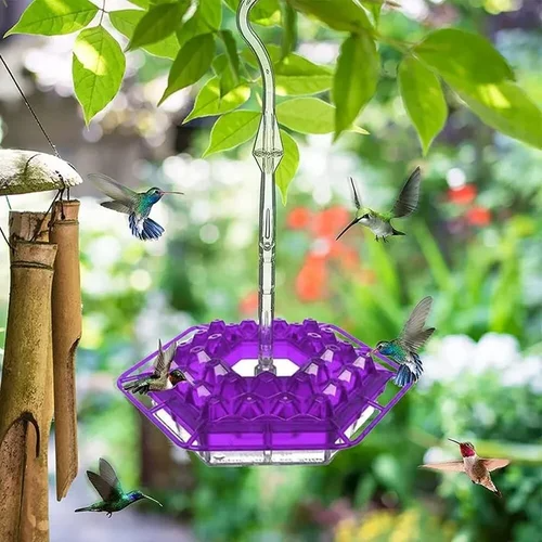 Hummingbird Feeder with Hexagonal Ports and Homemade Nectar Dish