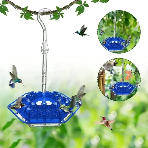 Hummingbird Feeder with Hexagonal Ports and Homemade Nectar Dish