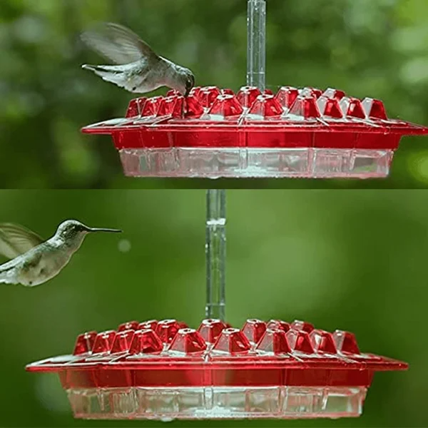 Hummingbird Feeder with Hexagonal Ports and Homemade Nectar Dish
