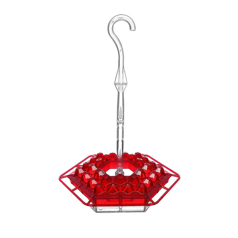 Hummingbird Feeder with Hexagonal Ports and Homemade Nectar Dish