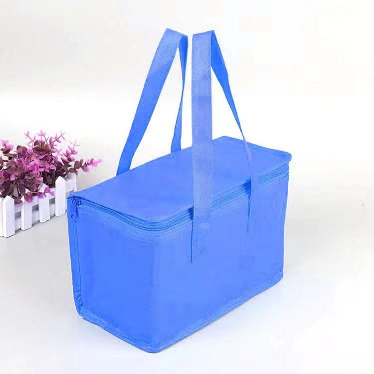 Insulated Lunch Bag and Cooler Box with Zippered Closure and Dual Handles Portable