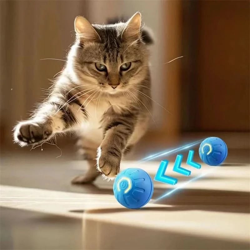 Interactive Dog Ball Toy with Motorized Rolling Motion and Textured Rubber Exterior