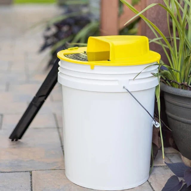Bucket Mouse Trap Humane Ethical Multi Catch with Automatic Reset for 5 Gallon Pail