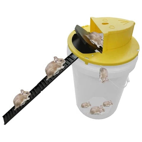Bucket Mouse Trap Humane Ethical Multi Catch with Automatic Reset for 5 Gallon Pail