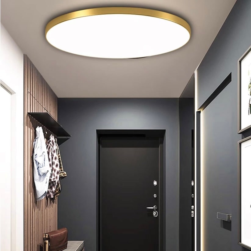 LED Ceiling Light Fixture with Flush Mount Design and Bright Modern Round Illumination