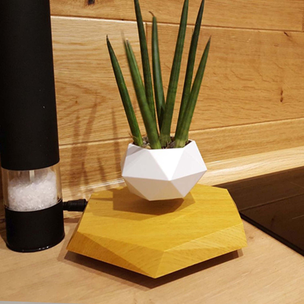 Magnetic Levitation Floating Planter with Geometric Hexagonal Pot and Electromagnetic Base