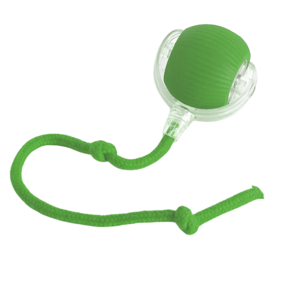 Interactive Cat Toys with Smart Motorized Rolling Ball and Rope Tail