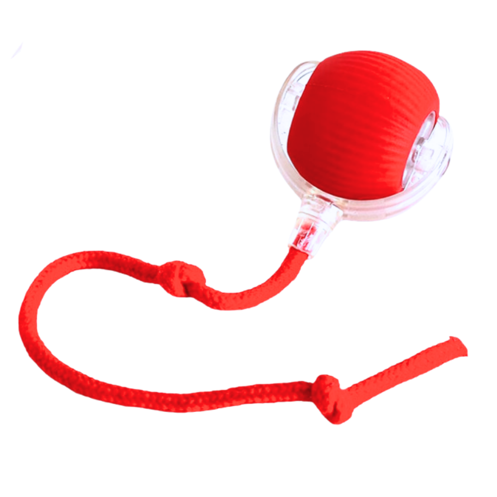Interactive Cat Toys with Smart Motorized Rolling Ball and Rope Tail
