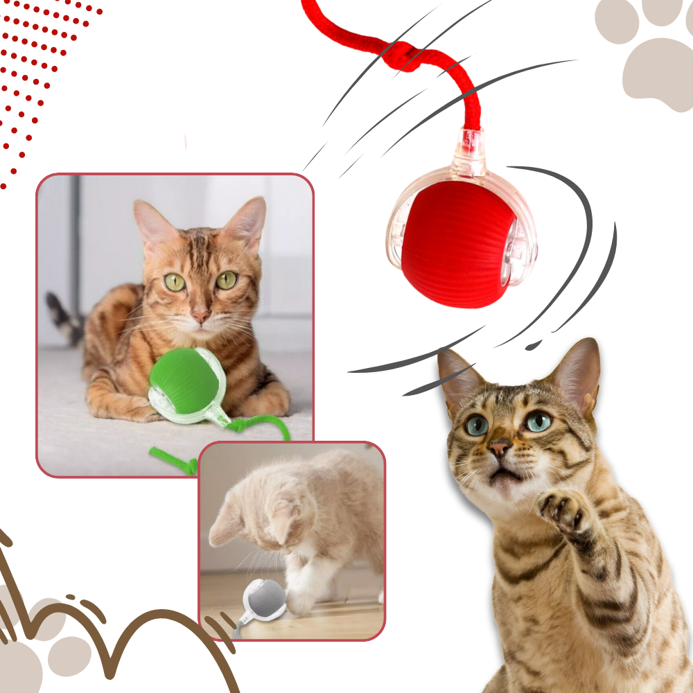 Interactive Cat Toys with Smart Motorized Rolling Ball and Rope Tail