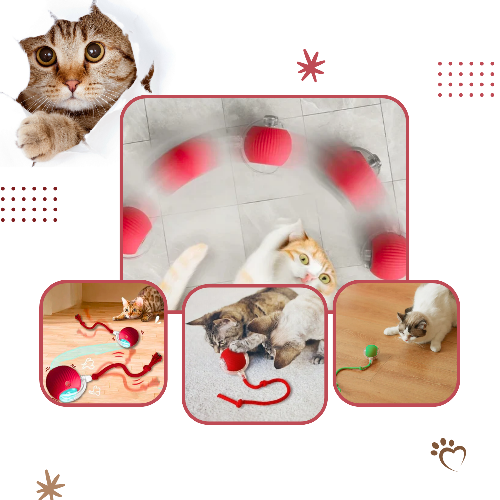Interactive Cat Toys with Smart Motorized Rolling Ball and Rope Tail