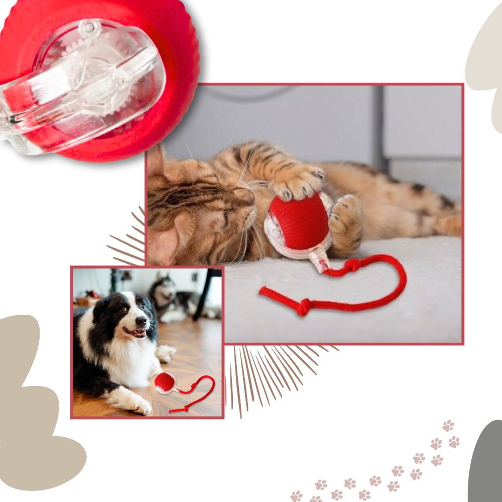 Interactive Cat Toys with Smart Motorized Rolling Ball and Rope Tail
