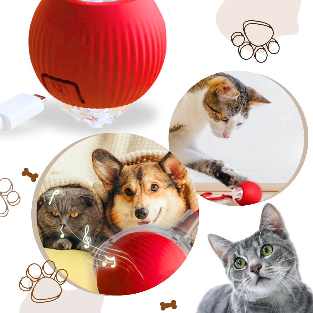 Interactive Cat Toys with Smart Motorized Rolling Ball and Rope Tail