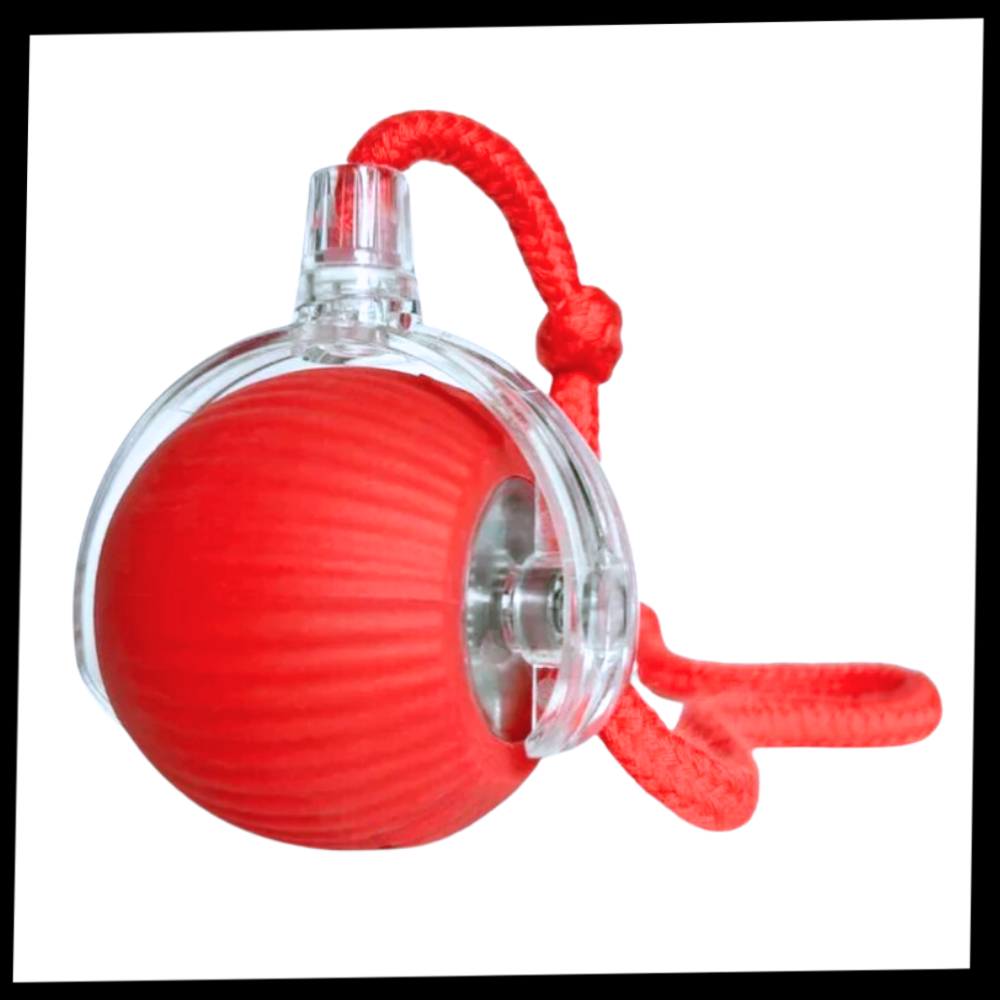 Interactive Cat Toys with Smart Motorized Rolling Ball and Rope Tail