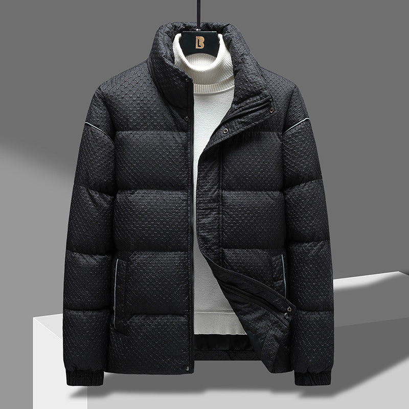 Short Puffer Jacket – Textured Shell, Stand Collar & Ribbed Cuffs | Holloway