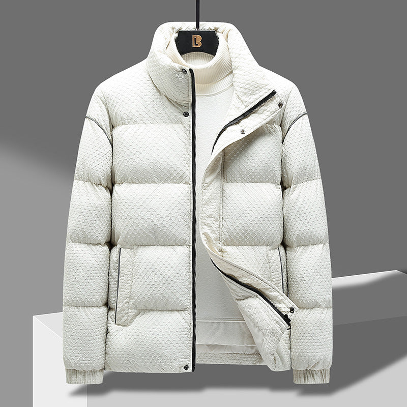 Short Puffer Jacket – Textured Shell, Stand Collar & Ribbed Cuffs | Holloway