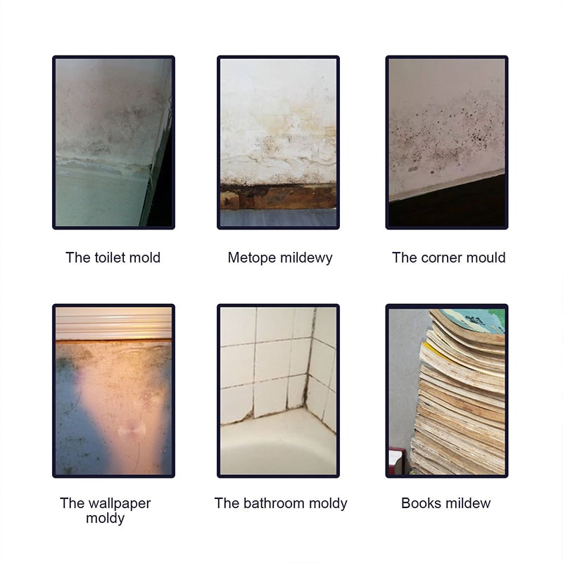 Mold and Mildew Remover Professional Stain Spray with Trigger Nozzle