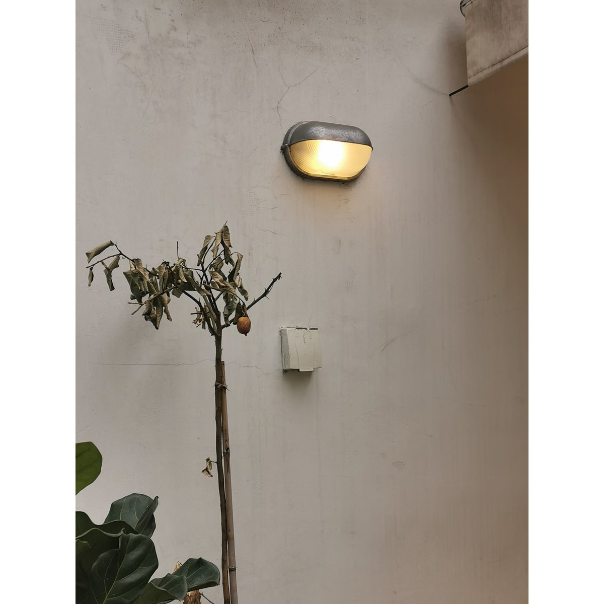 Outdoor Bulkhead Wall Light with Oval Shield and Ribbed Glass Diffuser