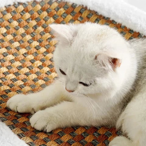 Oval Plush Cat Scratcher Bed with Woven Mat and Padded Bolster