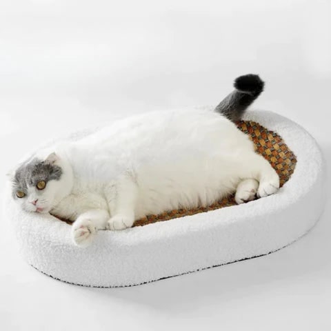 Oval Plush Cat Scratcher Bed with Woven Mat and Padded Bolster