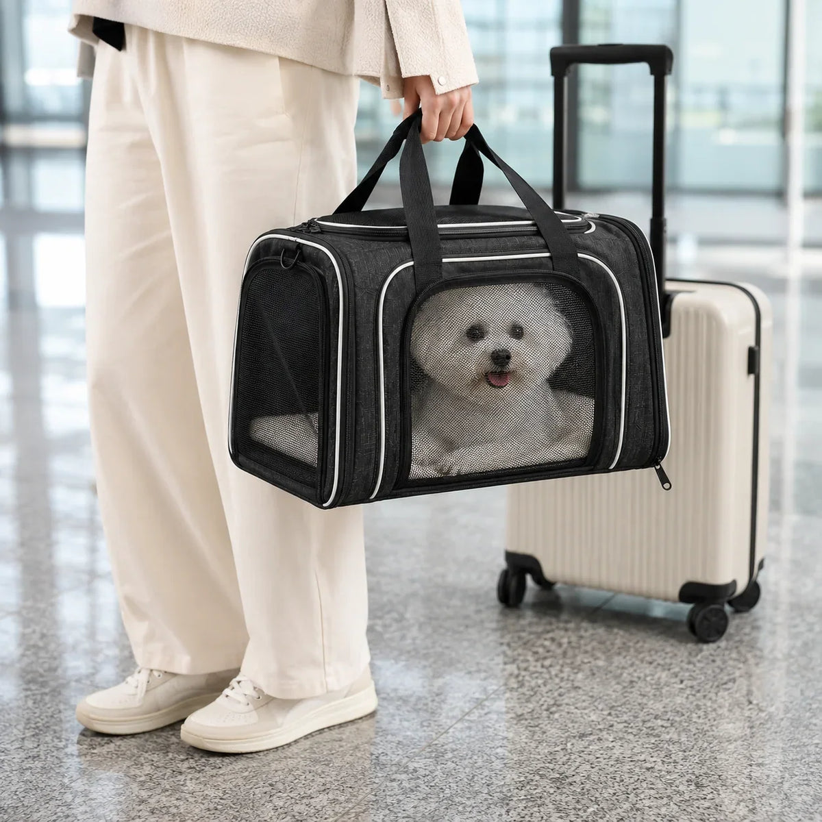 Pet Carrier | Expandable & Breathable Mesh | Small & Medium