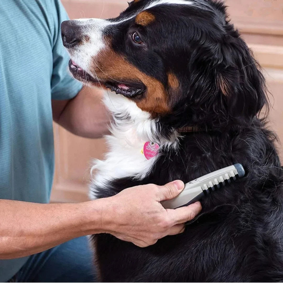 Pet Trimmer | Gentle Knot-Removing Stainless Steel Blades & Ergonomic Handle