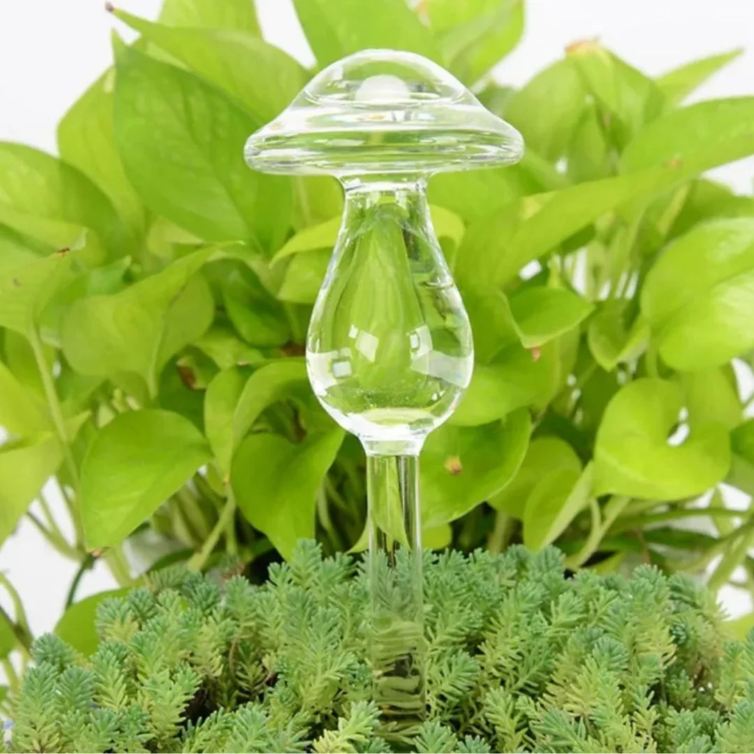 Plant Watering Device | Automatic Self-Watering & Transparent Glass | Approx. 15 cm