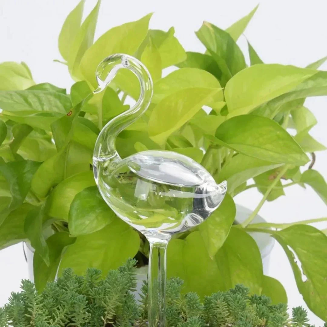 Plant Watering Device | Automatic Self-Watering & Transparent Glass | Approx. 15 cm