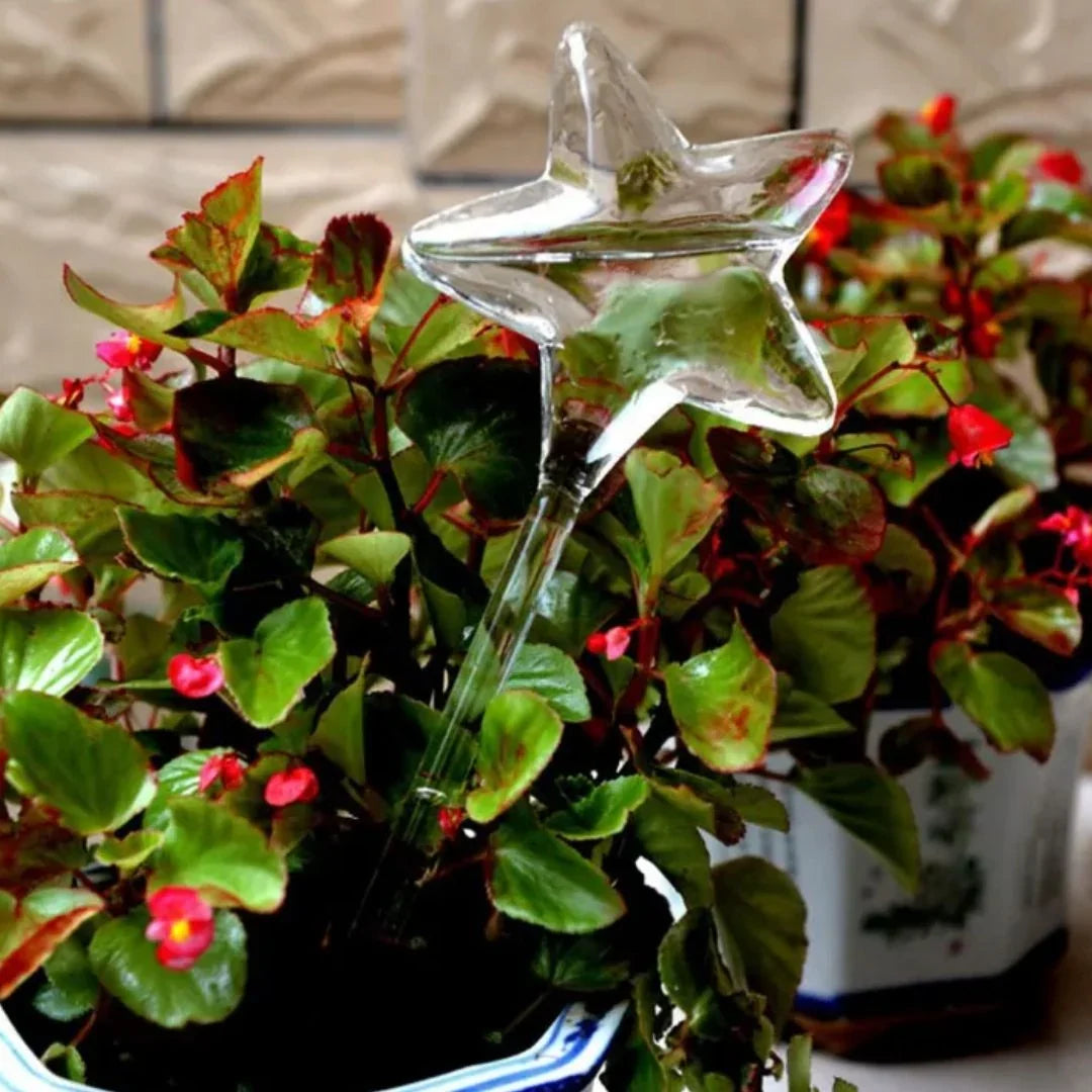 Plant Watering Device | Automatic Self-Watering & Transparent Glass | Approx. 15 cm