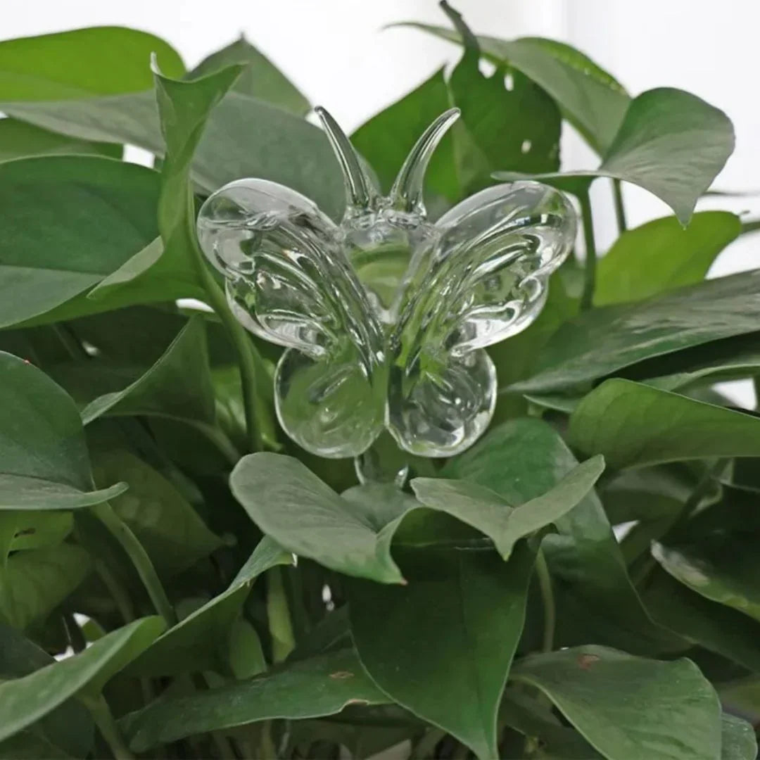 Plant Watering Device | Automatic Self-Watering & Transparent Glass | Approx. 15 cm