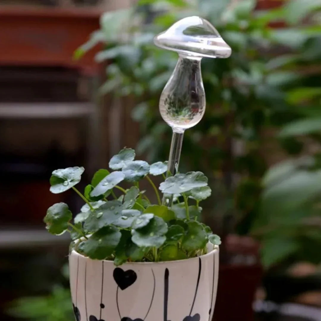 Plant Watering Device | Automatic Self-Watering & Transparent Glass | Approx. 15 cm
