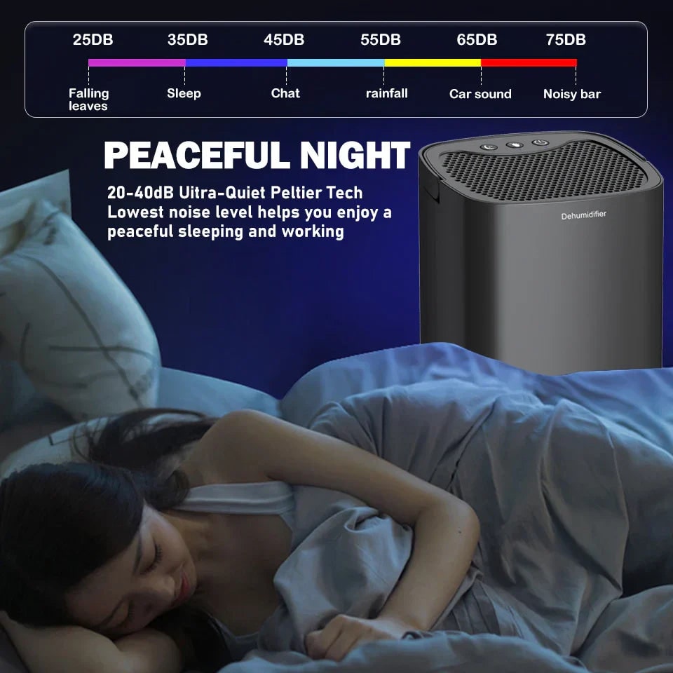 Portable Basement Crawl Space Small Room Dehumidifier with Drain Hose and Air Filter