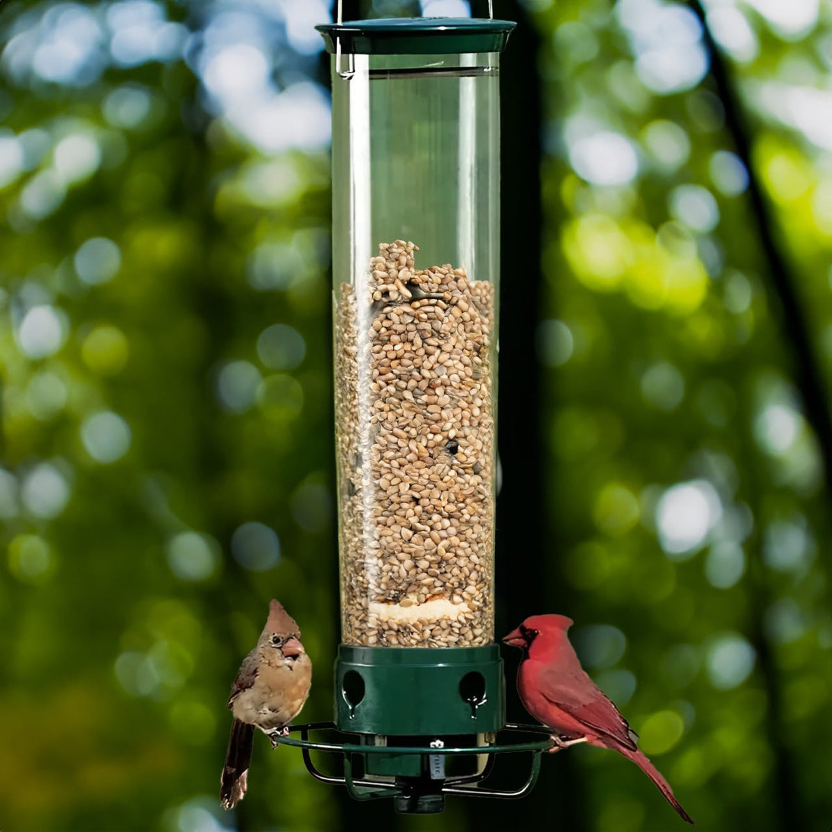 Squirrel Proof Bird Feeder with Weight-Activated Spinning Perch Tube