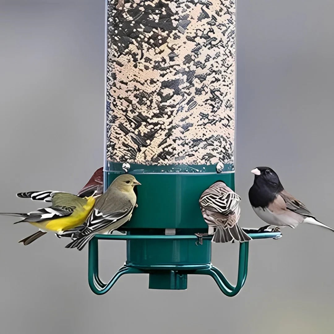 Squirrel Proof Bird Feeder with Weight-Activated Spinning Perch Tube
