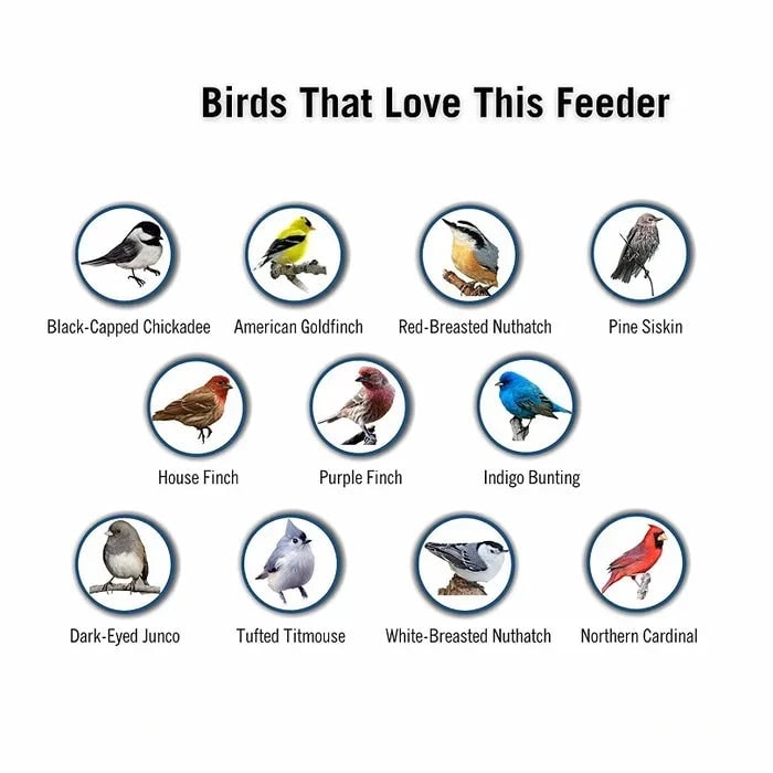 Squirrel Proof Bird Feeder with Weight-Activated Spinning Perch Tube