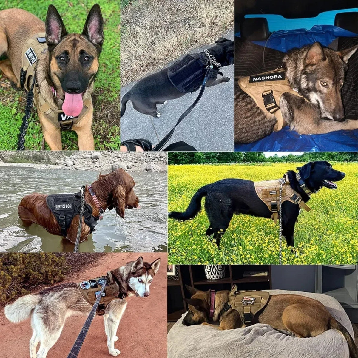 Tactical Dog Harness No Pull Non Vest with Molded Handle and Quick Release Buckle