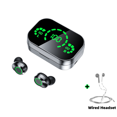 True Wireless Earbuds with Noise Cancelling Mic and Digital Display Charging Case