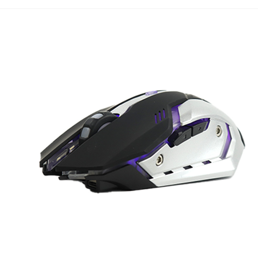 Wireless Ergonomic Gaming Mouse with LED Backlighting and Programmable Side Buttons